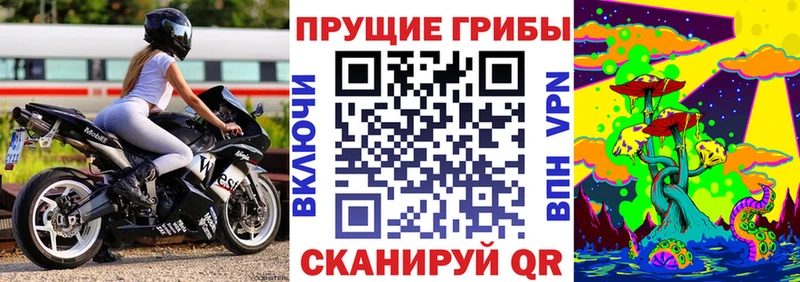 Галлюциногенные грибы мицелий закладка Тосно